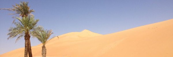 MariaQureshiMD Profile Banner