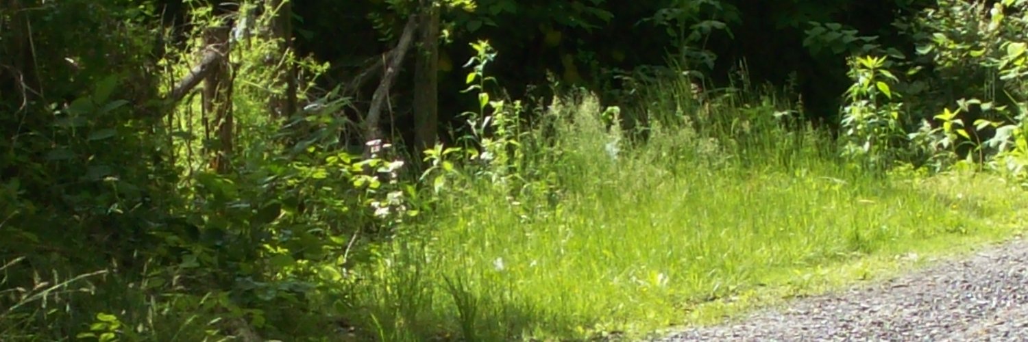 Appalachia Sustainable Tourism Collaboration banner