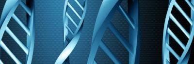 Wolf & Associates banner