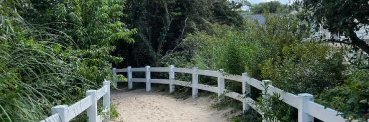 Chris Nguyen's banner