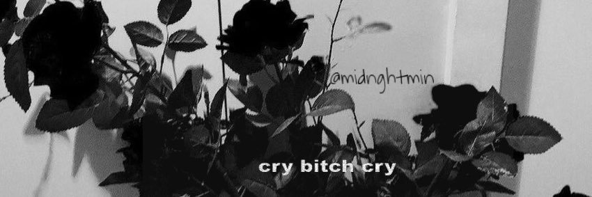 rosewithbubbles's profile banner image