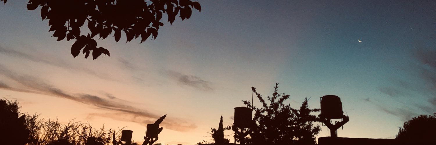merali_fr's profile banner image