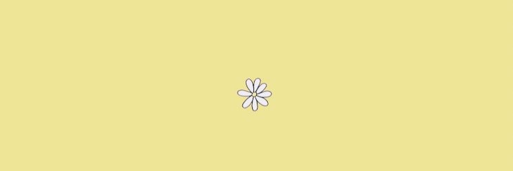 sophxmae's profile banner image