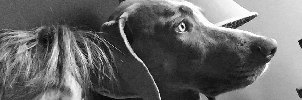 samsoldmine's profile banner image