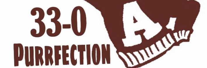 Tomcat Nation banner