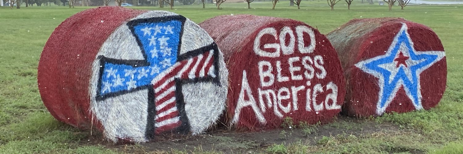 rule51 🇺🇸 banner
