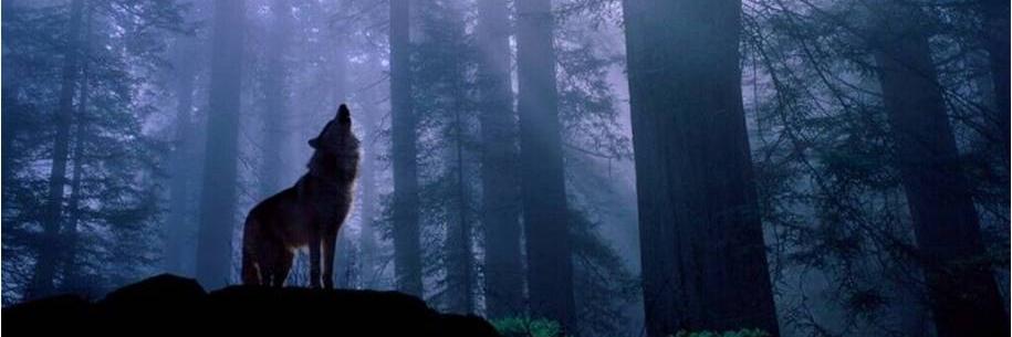 TeamAlpha3's profile banner image