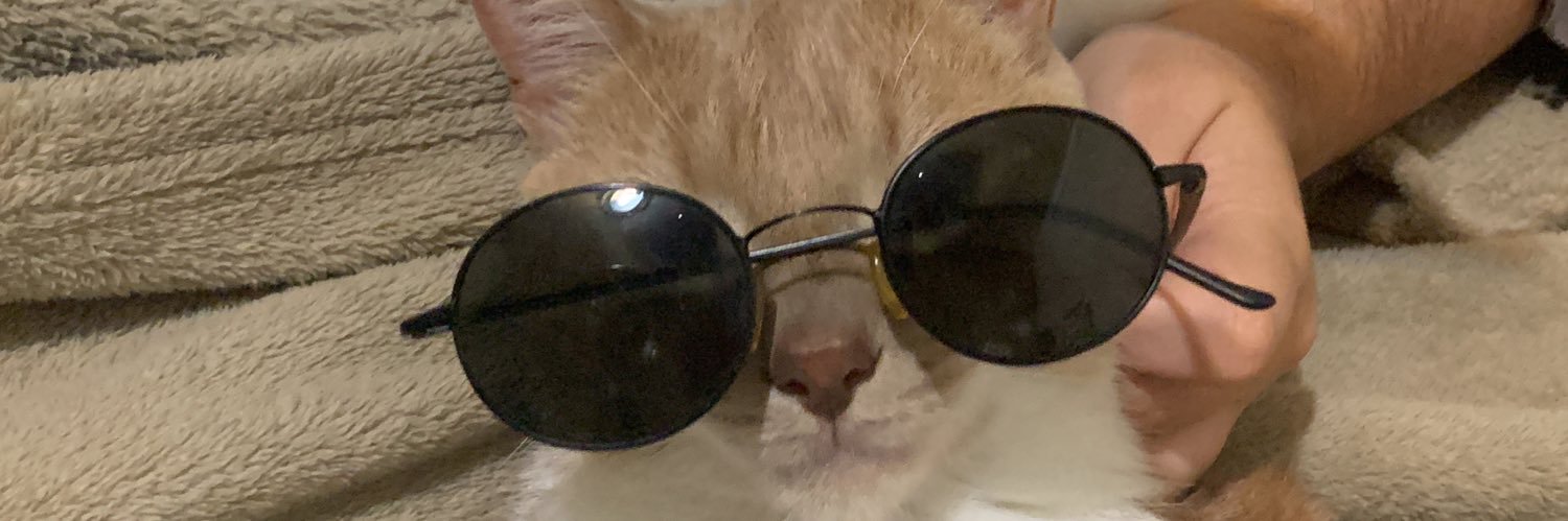 cathvalle's profile banner image