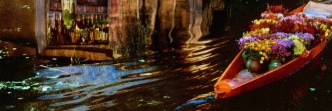 amychonii's profile banner image