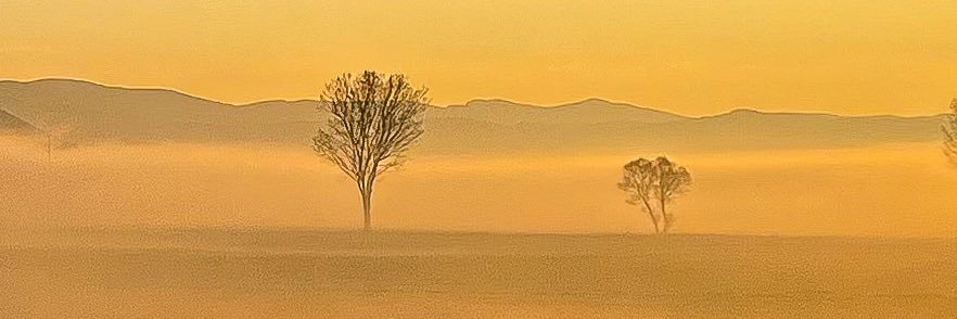 BumbleDee banner