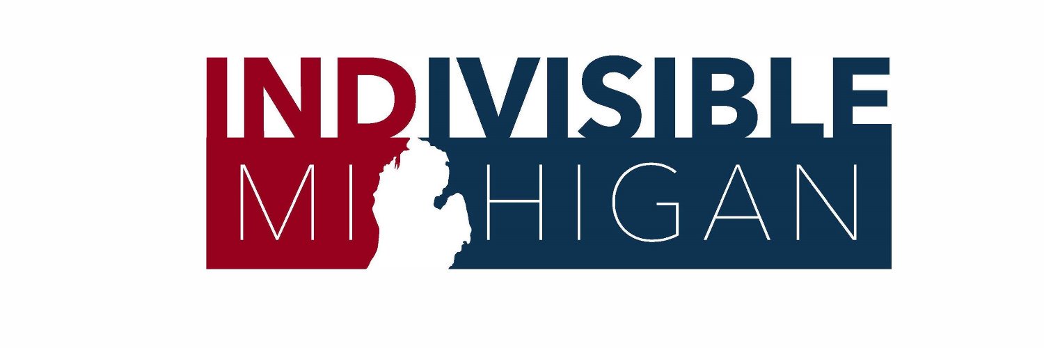 Indivisible Michigan banner