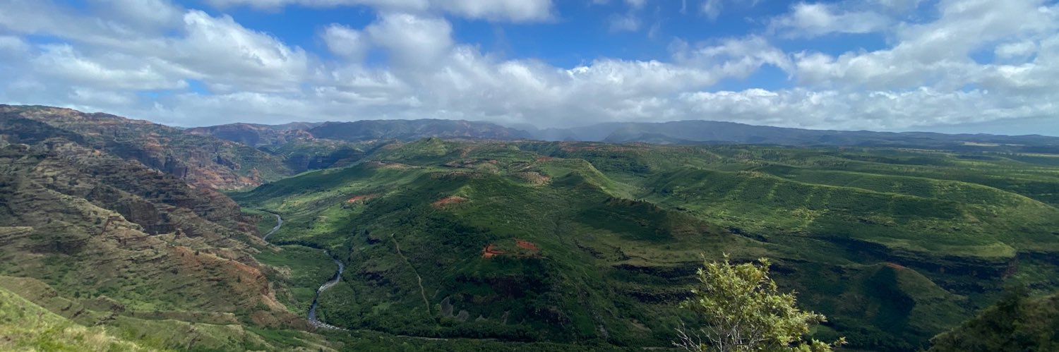 Na’im Merchant banner