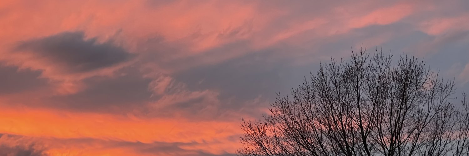 IslandsGrown's profile banner image