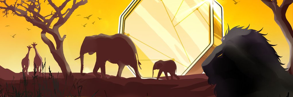 BitcoinR.D.Congo 🇨🇩 banner
