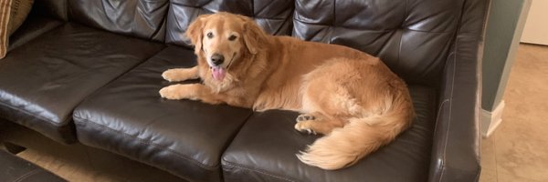 TheCleanScalpel Profile Banner