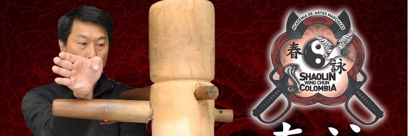 WING CHUN COLOMBIA banner