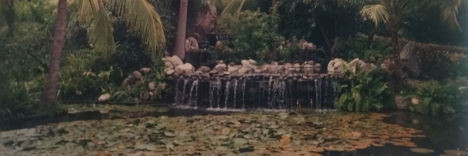 clararinbel's profile banner image