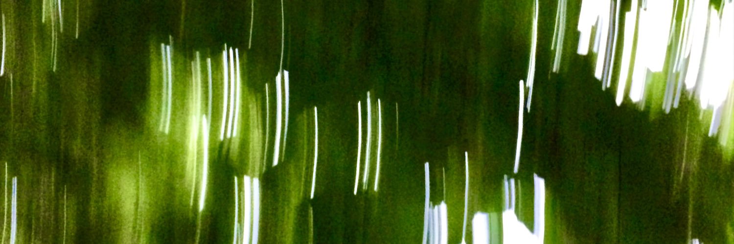 Christa_barton's profile banner image