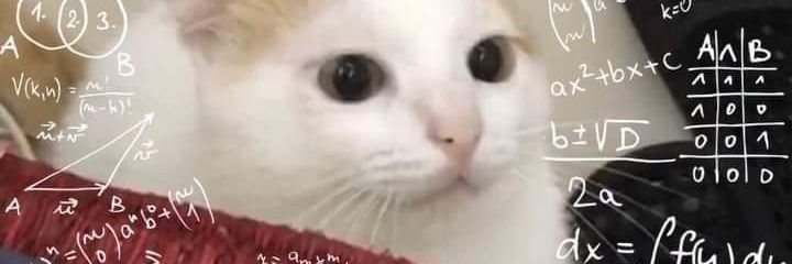 кэрол (carok) jurídico lucia renato banner