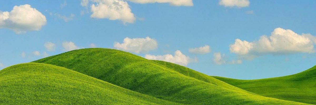 bitterbae2's profile banner image