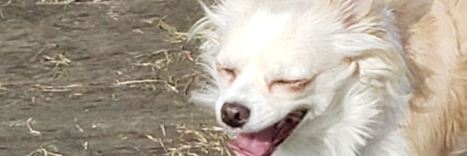 jkswartz13's profile banner image