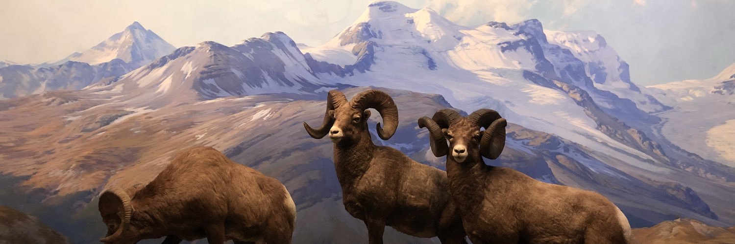 NickBarakos's profile banner image