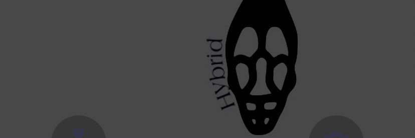 RocoPCarranco's profile banner image