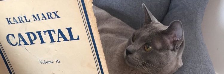 Liv(Daily) 🍉 banner