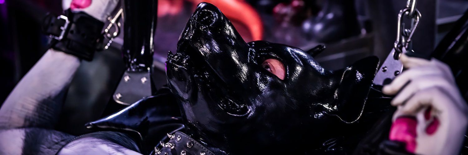 Puppy_Trigger's profile banner image