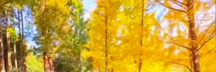 Supergamersin's profile banner image