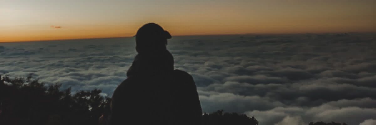 simuzid's profile banner image