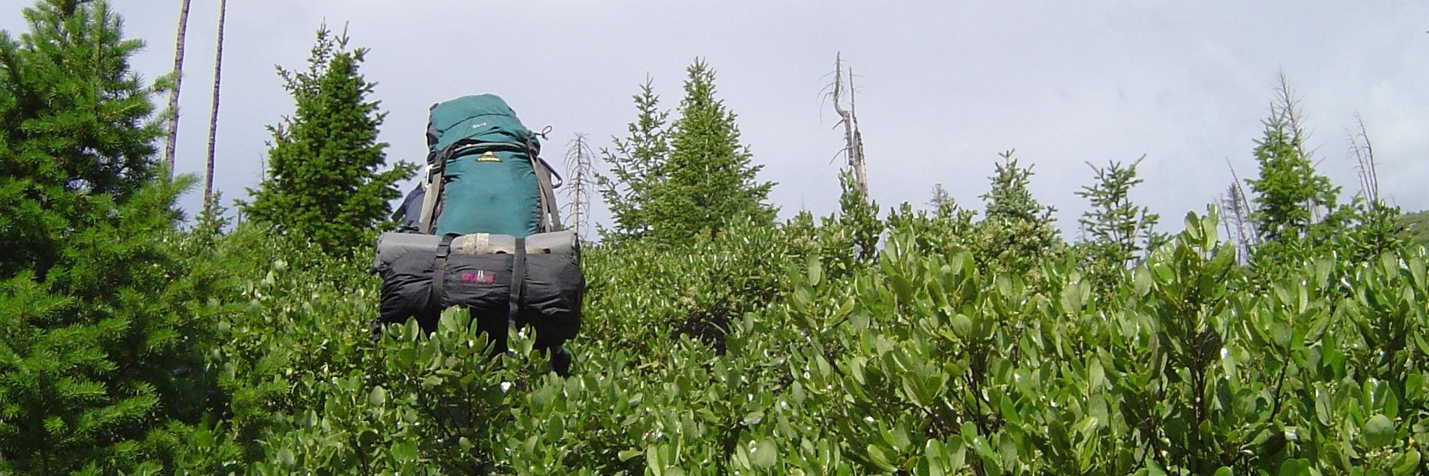 $54.20 Value Meal banner