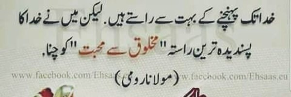 rizahmad245 Profile Banner