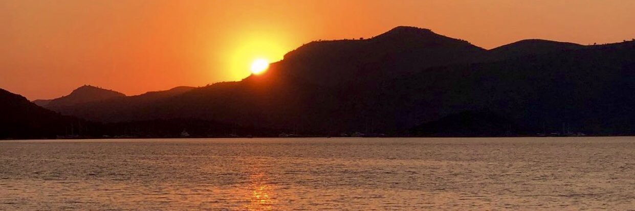 Filiz banner