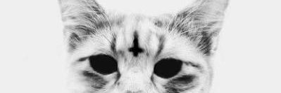 inkedupshi's profile banner image