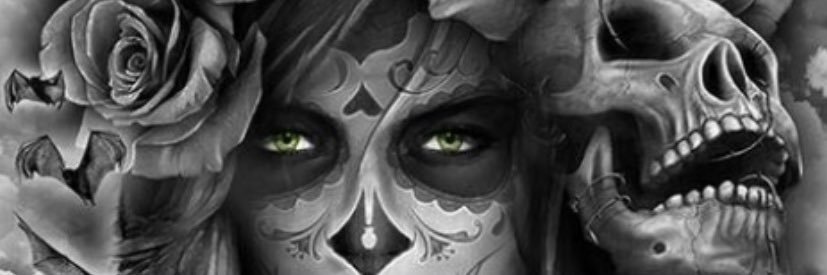 S1NISTA's profile banner image