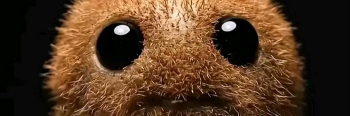 PauNv__'s profile banner image