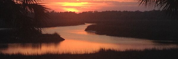 acyantis Profile Banner