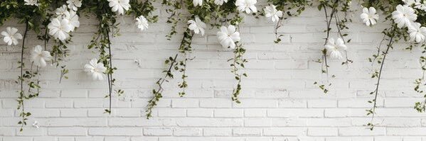 Taylor_Silerr's profile banner image