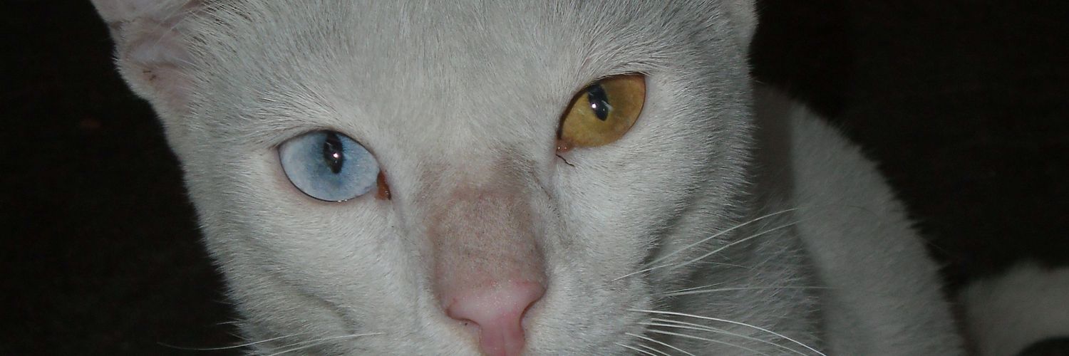 eMPTYN0IsERS's profile banner image