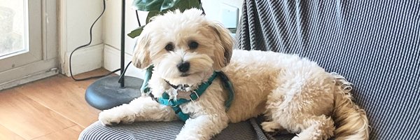 sandyskim Profile Banner