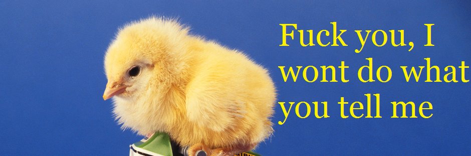 MrPoodleDoop's profile banner image