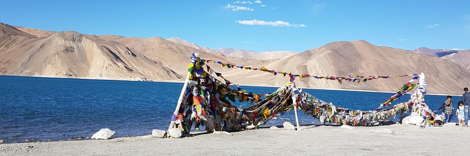 MrsRenu's profile banner image