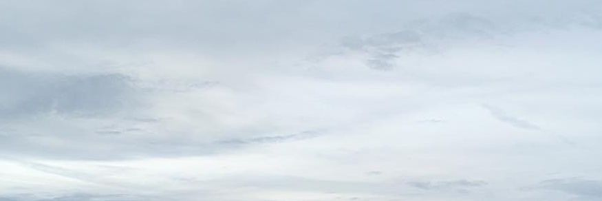 hourlyog banner
