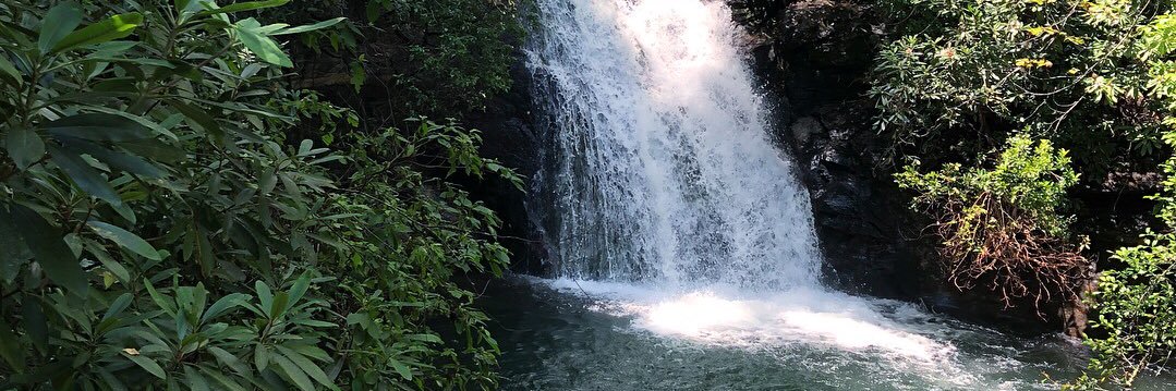 Isabella Palumbo banner
