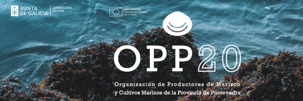 OPP20AIlla Profile Banner