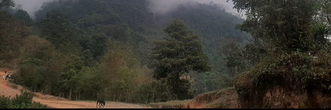 Isaitalcual's profile banner image