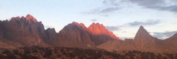 CoachBridi Profile Banner