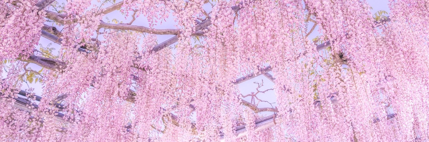 danitan0212's profile banner image