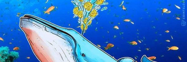 rompecristalmx Profile Banner
